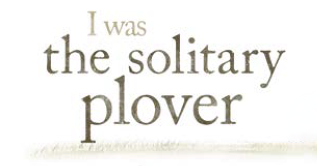 Winter 2026 Solitary Plover Reading